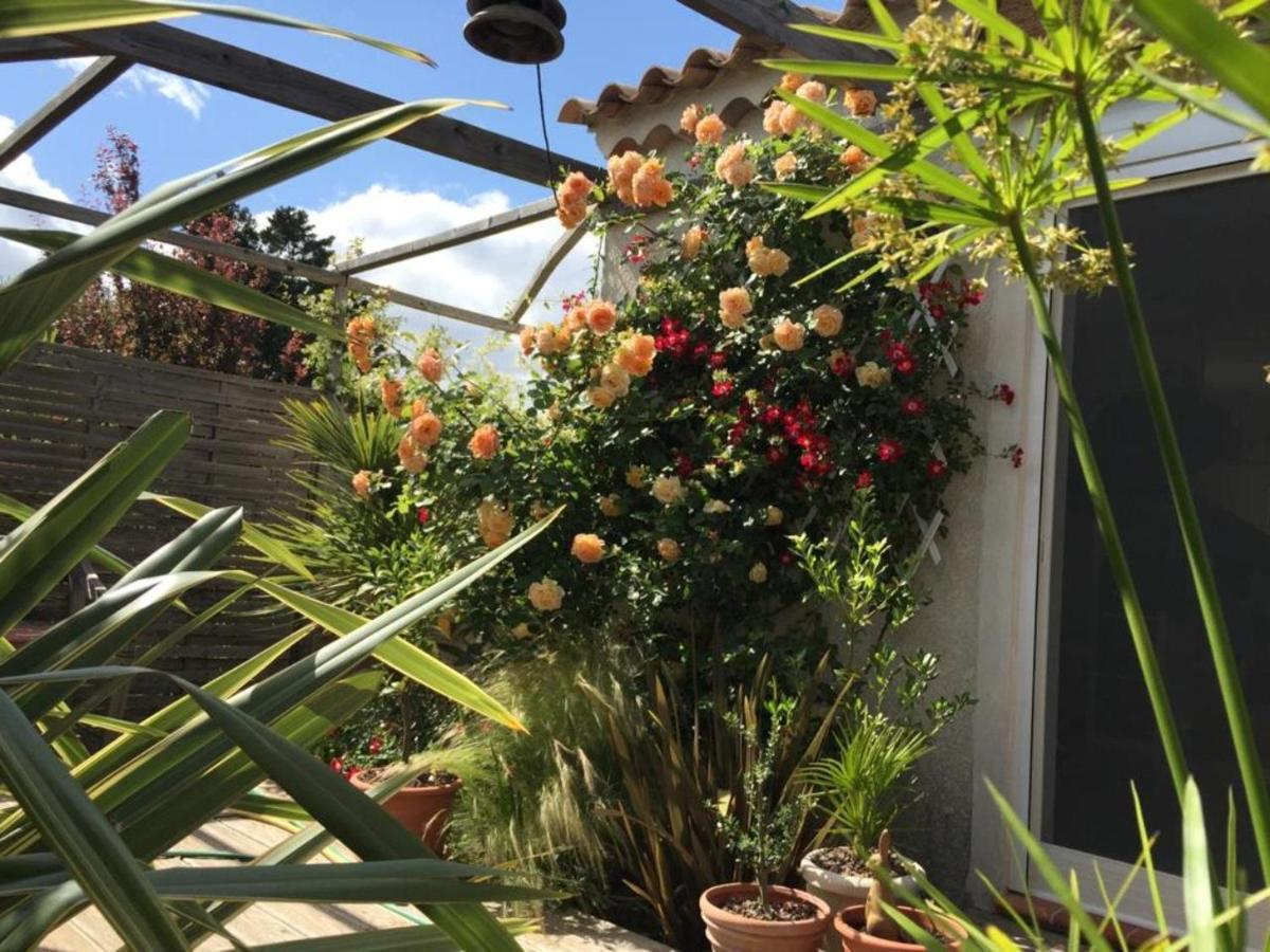 La Villa Vaihere En Camargue, L'Hibiscus Et Le Magnolia Saintes-Maries-de-la-Mer Eksteriør billede